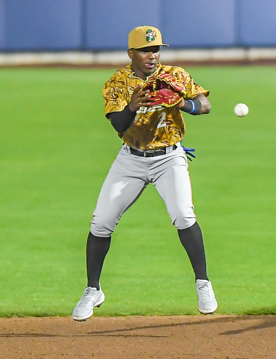 The Kannapolis Ballers lost their home opener 8-4 to the Wood Ducks.